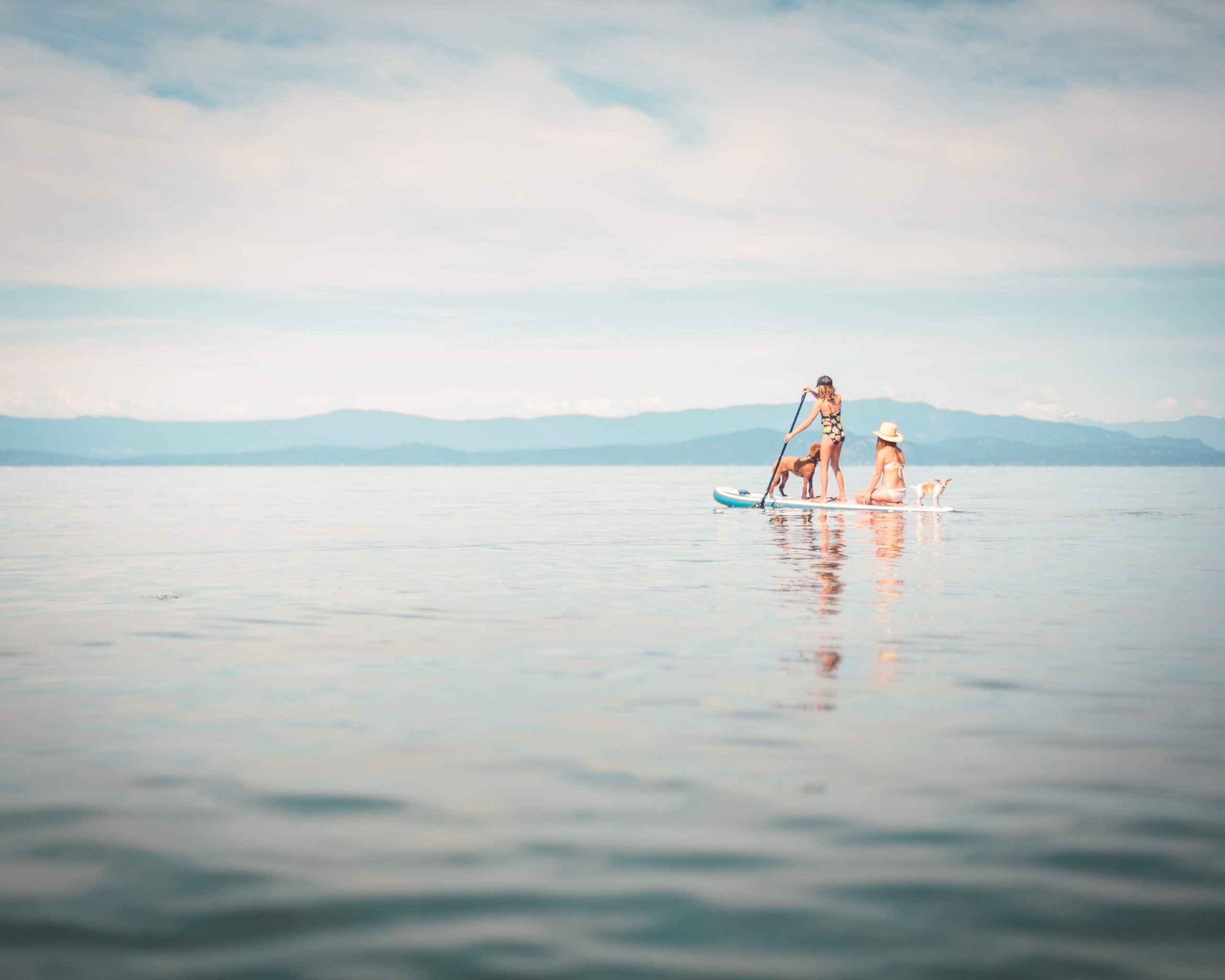 People paddle boarding in the water.
